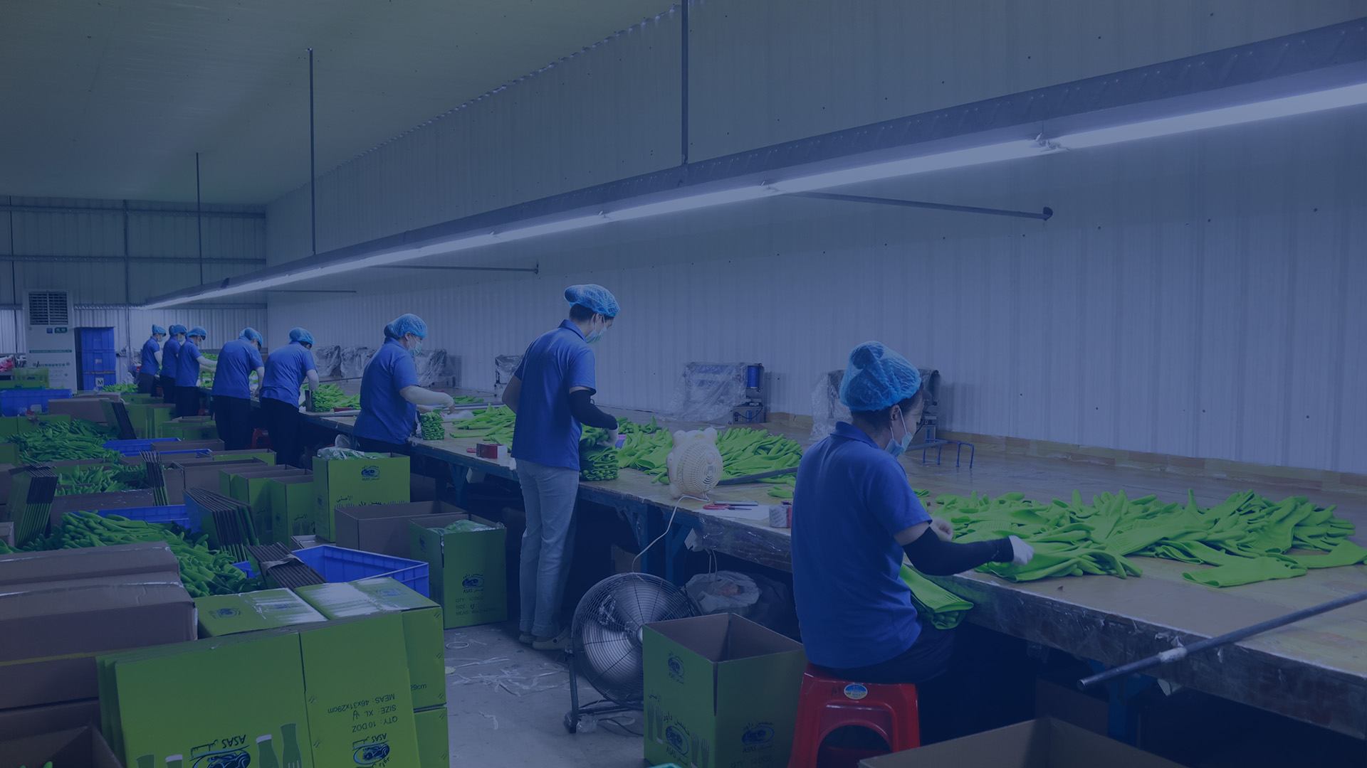 Quality Xingyu, Safety world